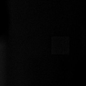 Meet your Posher, Annika